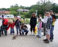 P?ed cukrrnou ns zabavila ka?ka